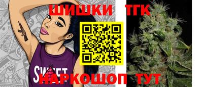 jwh Камышлов