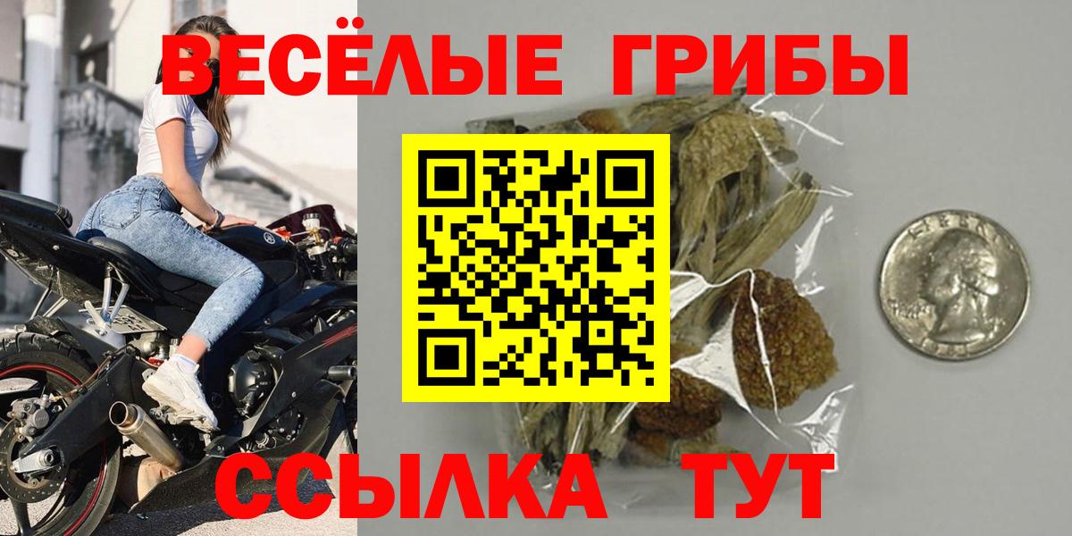 Лабинск  Галлюциногенные грибы GOLDEN TEACHER  Вход с VPN 