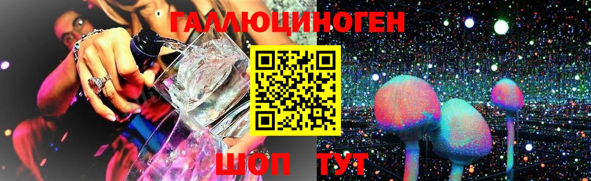 Псилоцибиновые грибы Cubensis Лабинск